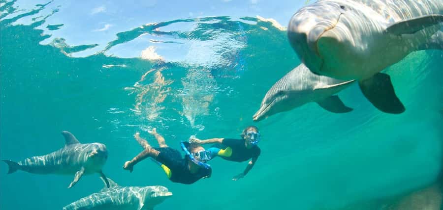 Muscat: 4-Hour Snorkeling Tour with Dolphin watching - What to bring and how to prepare