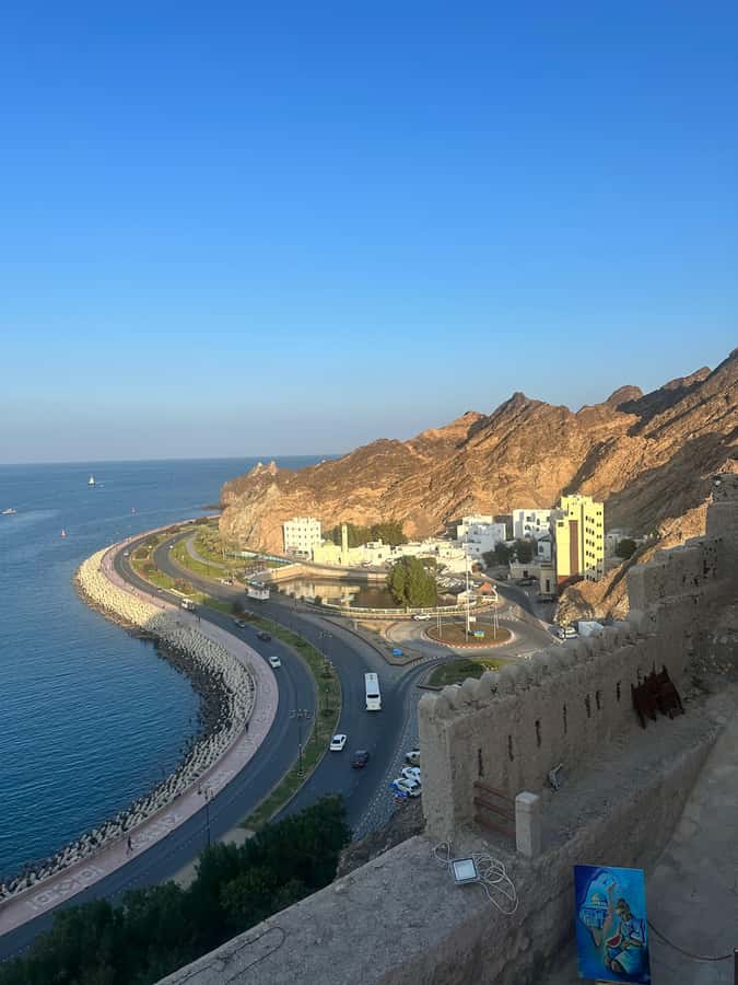Muscat : 4 hours private Tour of Muscat City with Pick-up - Key points to know before booking