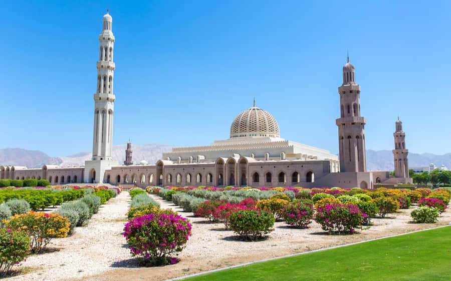 Muscat : 4 hours private Tour of Muscat City with Pick-up - Why this four-hour Muscat tour works well
