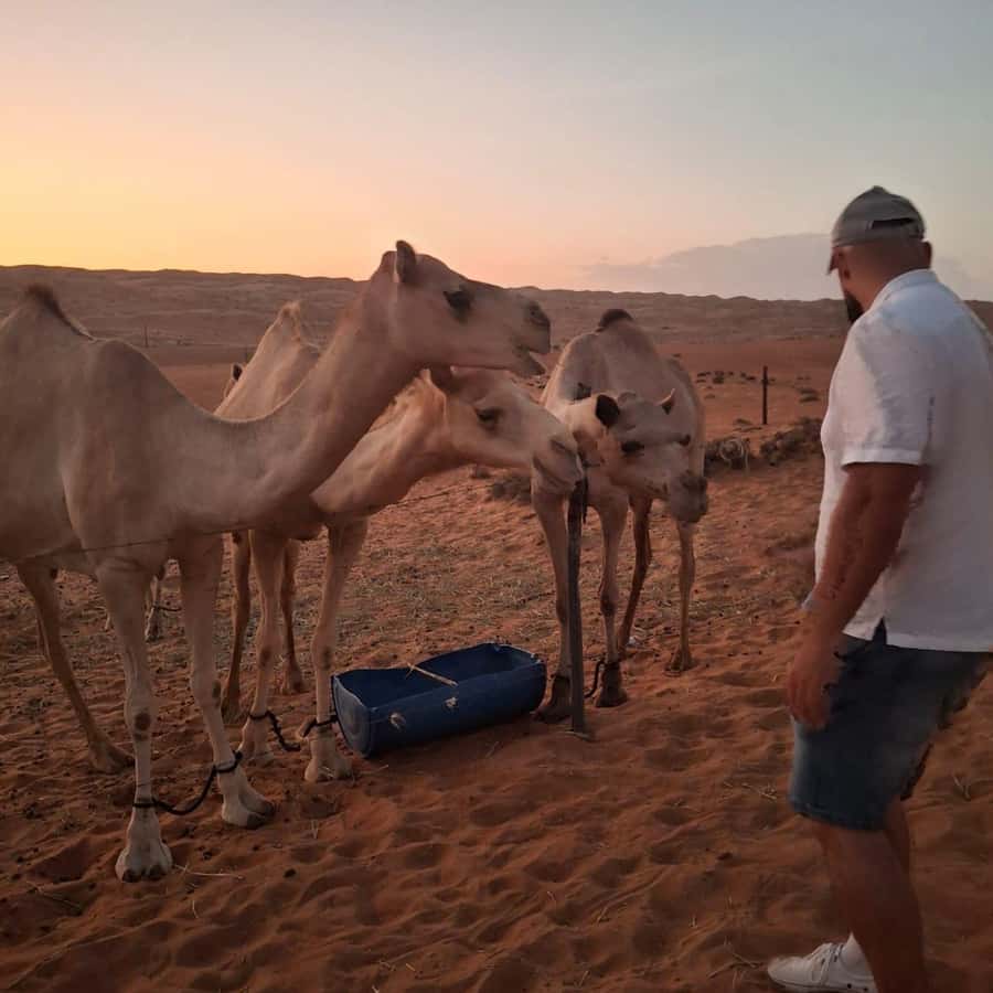 Muscat: Bidiya Desert Sunset Camel Ride with Transfer - What this Bidiya desert trip really offers