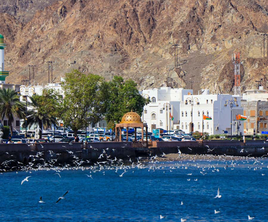 Muscat: Budget Friendly City Tour - Muttrah Souq: your best chance to browse