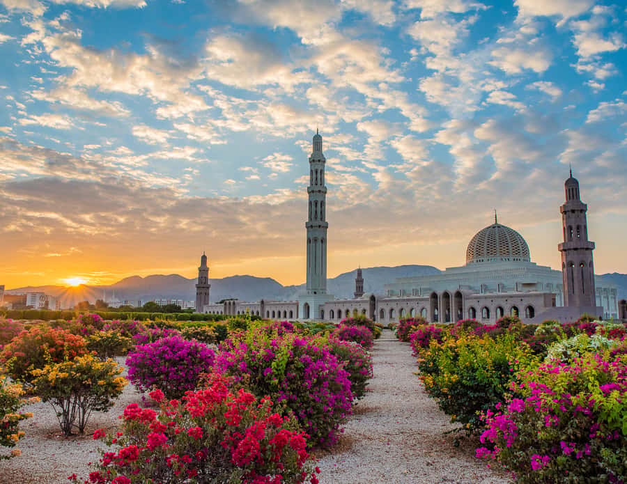 Muscat: Budget Friendly City Tour - Sultan Qaboos Grand Mosque: the main event