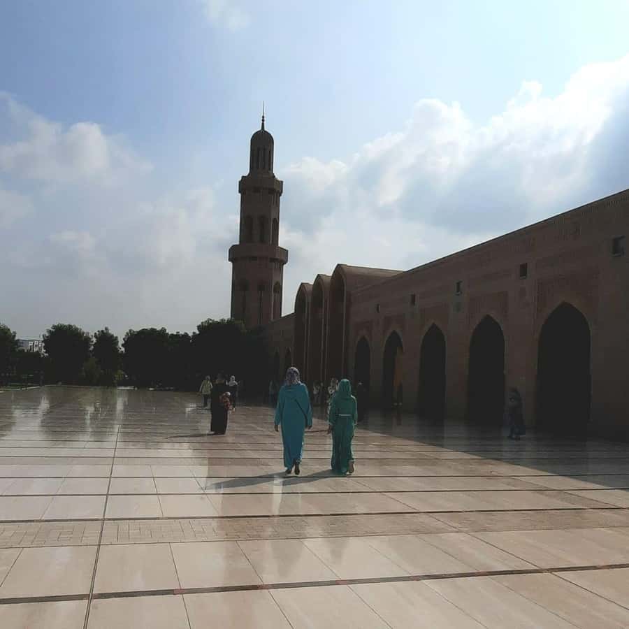 Muscat: City Highlights Tour with Optional Transfers - Mutrah Fort and Al Alam Palace: strong views, limited access
