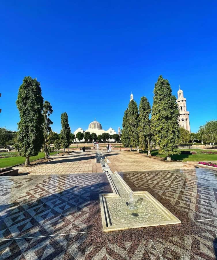 Muscat City Tour and life with Omani Guy ( luxury car). - What $100 per person really buys you
