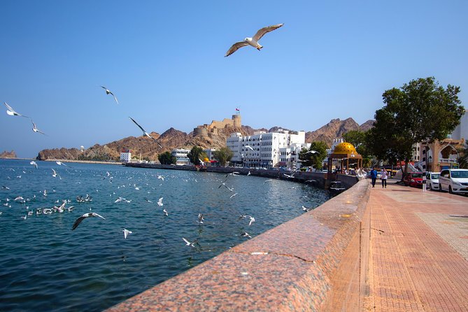 Muscat City Tour Full Day - Private Guided Tour from Muscat - Royal Opera House: modern Oman in polished form