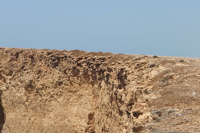 Muscat City Tour with All Language Guide - The guide makes or breaks the experience