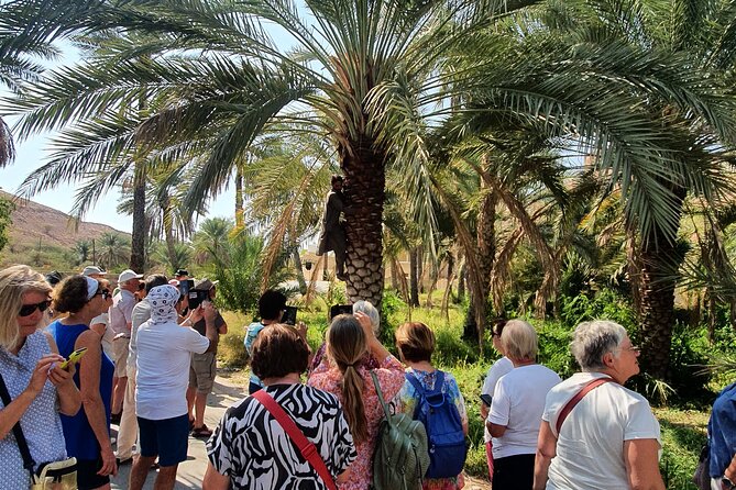Muscat City Tour with All Language Guide - Royal Opera House Muscat: modern Oman in 50 minutes