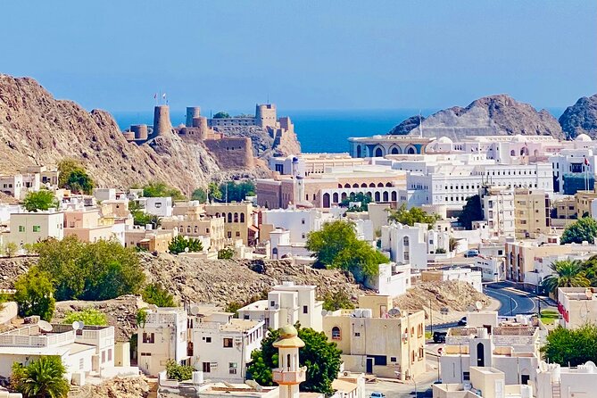 Muscat City Tour with Omani Guide (Private). - Starting at Sultan Qaboos Grand Mosque
