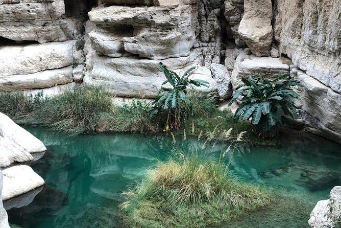 Muscat City & Wadi Shab Full-Day Adventure - Mutrah Souq: a taste of old Muscat commerce