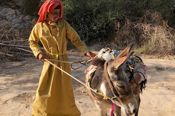 Muscat City & Wadi Shab Full-Day Adventure - Comfort, timing, and the value of $246.16