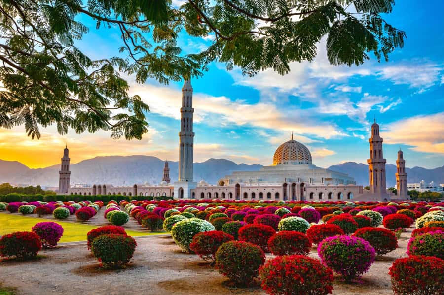 Muscat: Day Tour with Omani Lunch, Hotel Pickup, and Airfare - First impressions around Sohar and the Grand Mosque