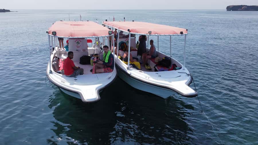 Muscat: Daymaniat Islands Scuba Diving for Beginners - From Global Scuba to the Daymaniat Islands