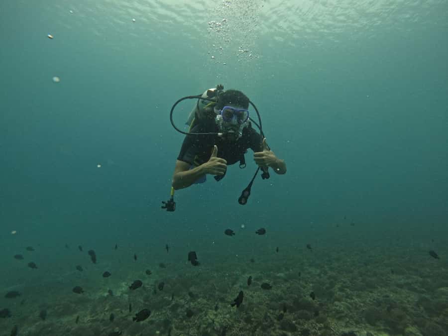 Muscat: Daymaniat Islands Scuba Diving for Beginners - Turtles, reef fish, rays, and possible sharks