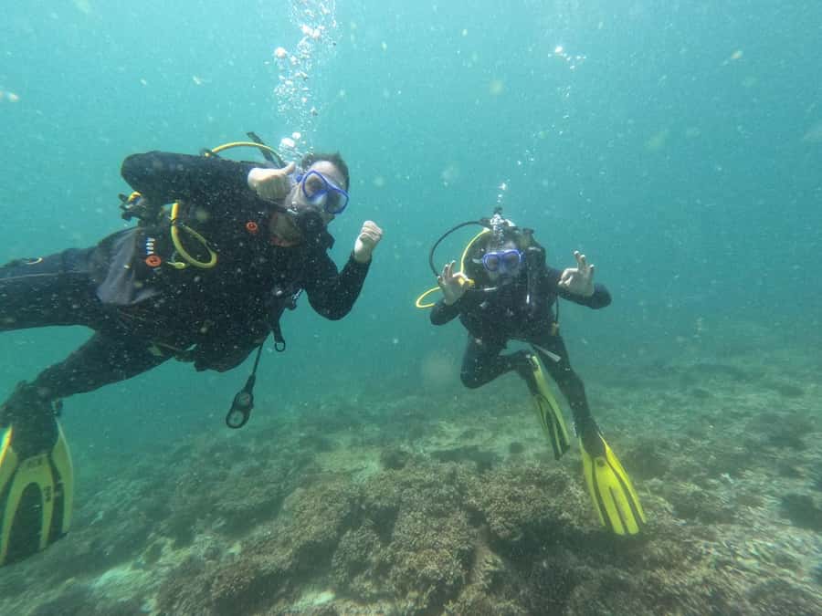 Muscat: Daymaniat Islands Scuba Diving for Beginners - Who should choose this Muscat trip?