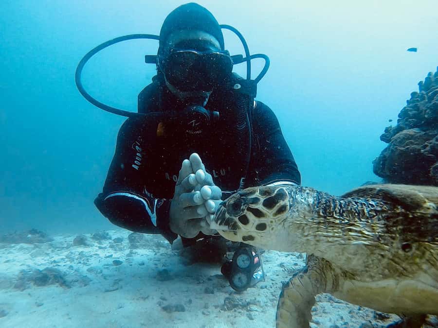 Muscat: Daymaniat Islands Scuba Diving for Beginners - The first lesson happens on board
