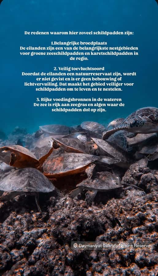 Muscat: Daymaniat Islands Snorkeling Tour with Refreshments - First snorkeling stop: turtles and coral