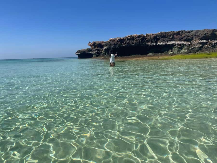 Muscat: Daymaniat Islands Snorkeling Trip with Brunch - First snorkeling stop: finding the turtles