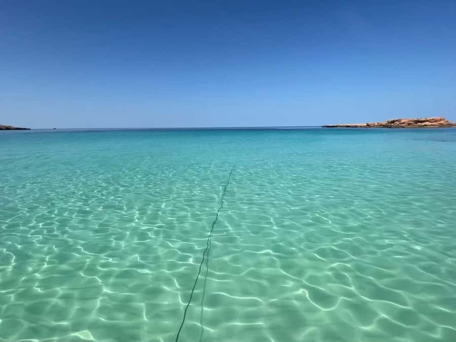 Muscat: Daymaniat Islands Snorkeling Trip with Brunch - Guides who shape the day