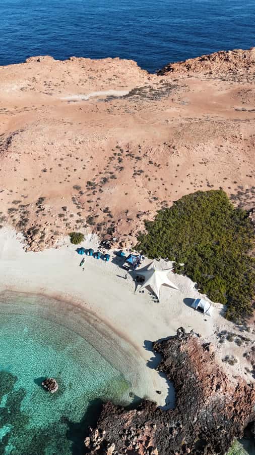 Muscat: Daymaniat Islands Tour - Key things to know before you go
