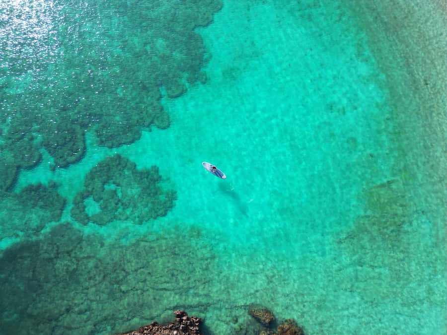 Muscat: Daymaniat Islands Tour - The boat ride and the first look at the islands