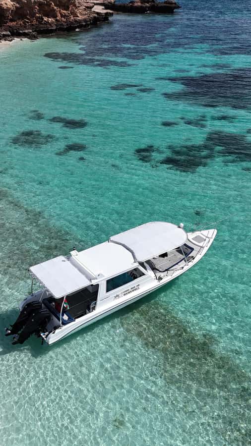 Muscat: Daymaniat Islands Tour - Snorkeling with turtles and reef fish