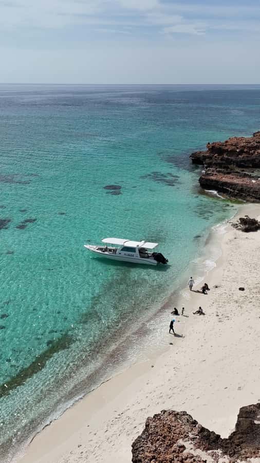 Muscat: Daymaniat Islands Tour - Three stops, underwater photos, and island time