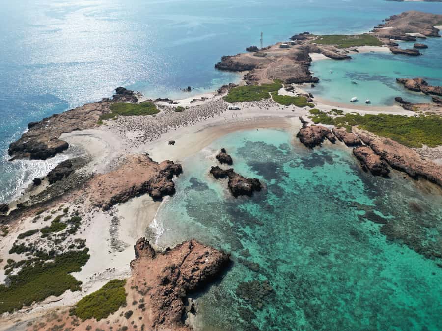 Muscat: Daymaniat Islands Tour - Leaving from Seeb Port