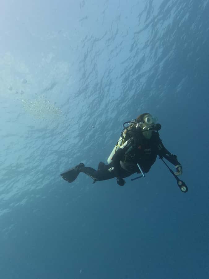 Muscat: Daymaniat Islands Try Scuba Diving - Should you book the Daymaniat scuba trip?