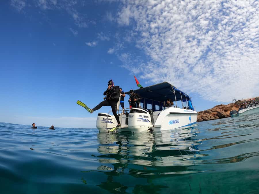 Muscat: Daymaniyat Island Scuba Dive 2 locations + BBQ Lunch - Six things worth knowing before you book