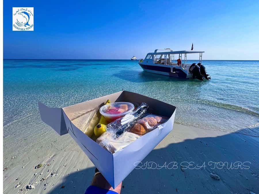 Muscat: Daymaniyat Island Snorkeling with Turtles Tour - The return cruise to Muscat
