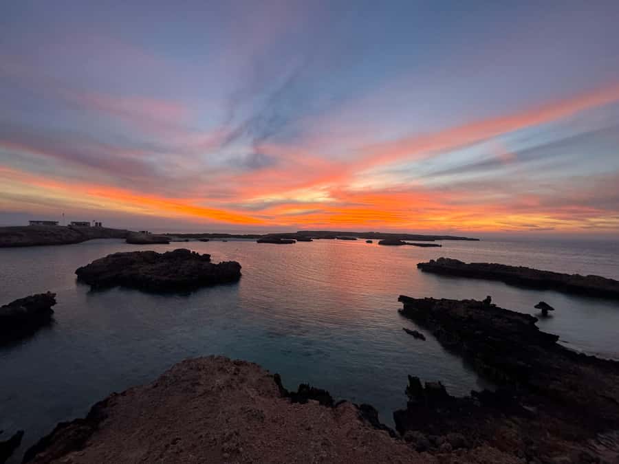 Muscat: Daymaniyat Islands Snorkeling Tour - Choosing between the 8:30 AM and 1:30 PM trips