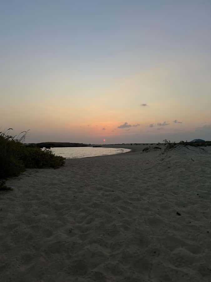 Muscat: Daymaniyat Islands Snorkeling Tour - The first bay: your best chance for turtles