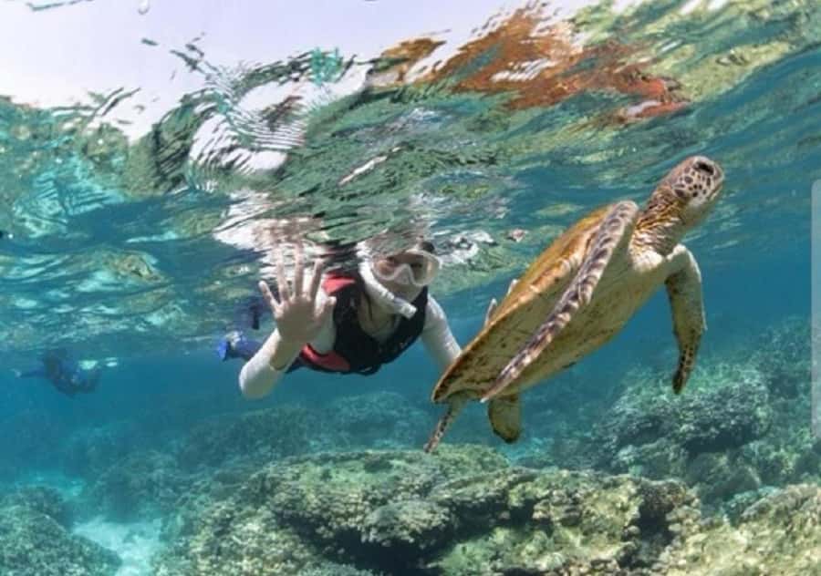 Muscat: Daymaniyat Islands Snorkeling Trip with BBQ Lunch - What makes this trip worth your day