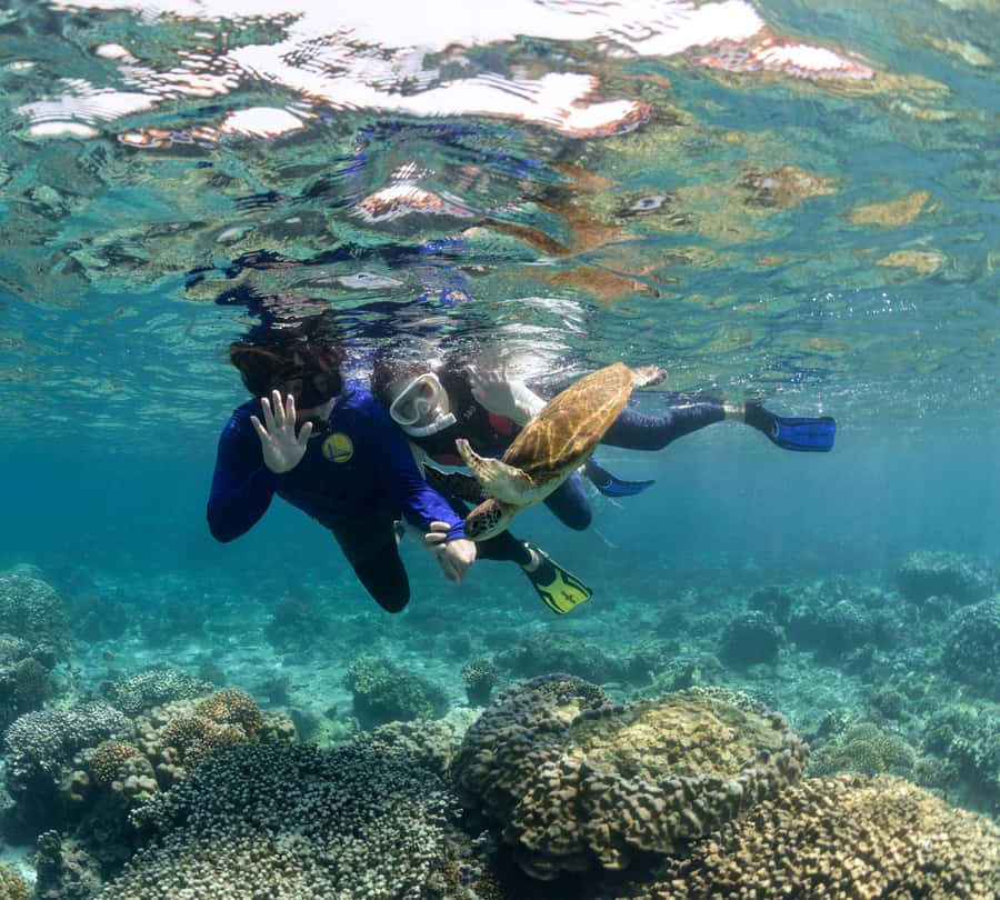 Muscat: Daymaniyat Islands Snorkeling Trip with BBQ Lunch - Who should book this Muscat outing?