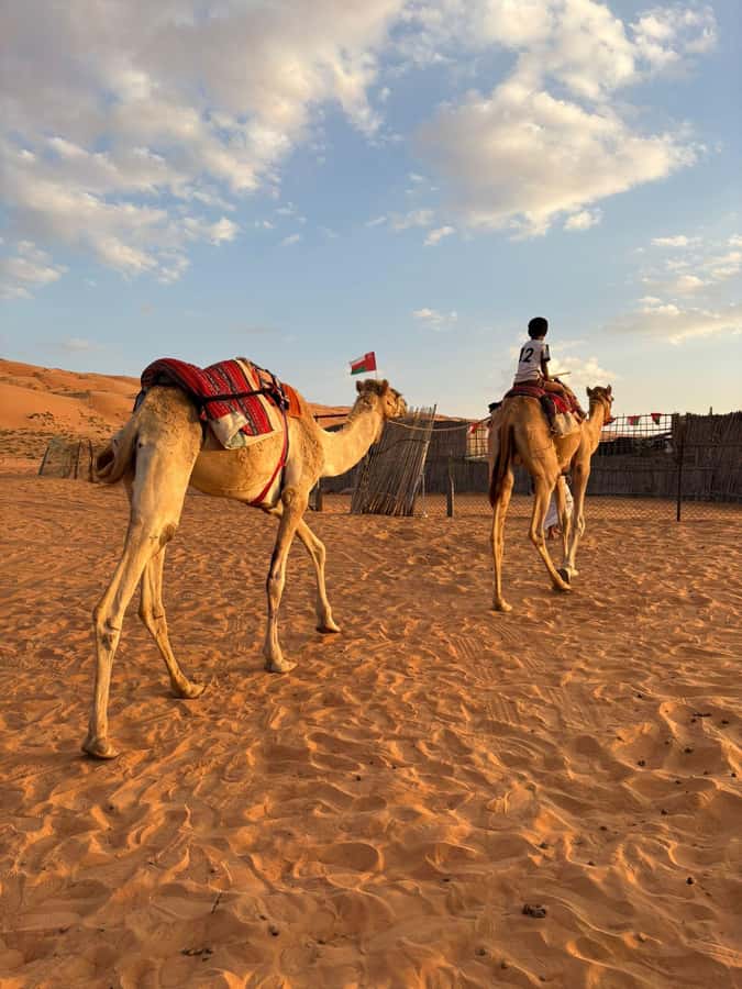 Muscat: Desert Sunset &Wadi Bnai Khalid Full-Day Tour+Lunch - Lunch and the small comforts that matter