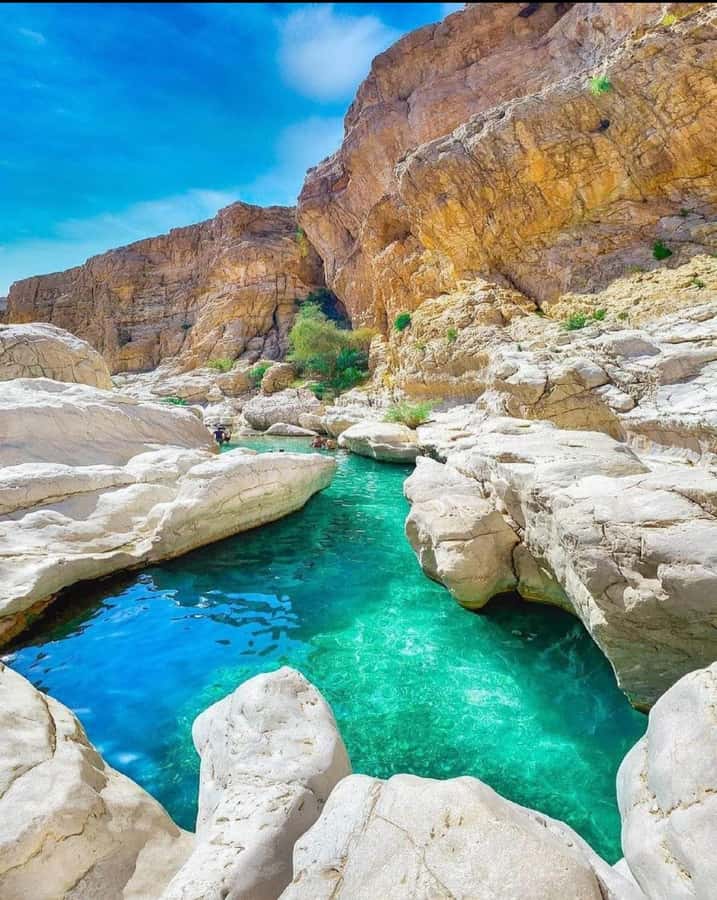 Muscat: Desert Sunset &Wadi Bnai Khalid Full-Day Tour+Lunch - Sunset in the Wahiba Desert
