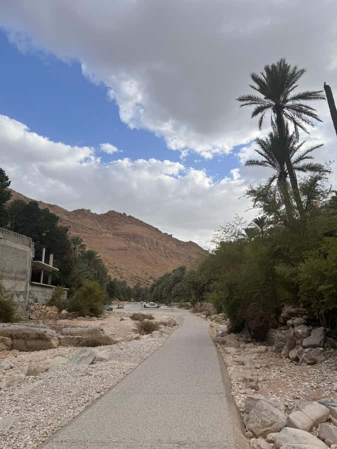Muscat: Desert Sunset &Wadi Bnai Khalid Full-Day Tour+Lunch - Driving, pickup, and the role of the guide