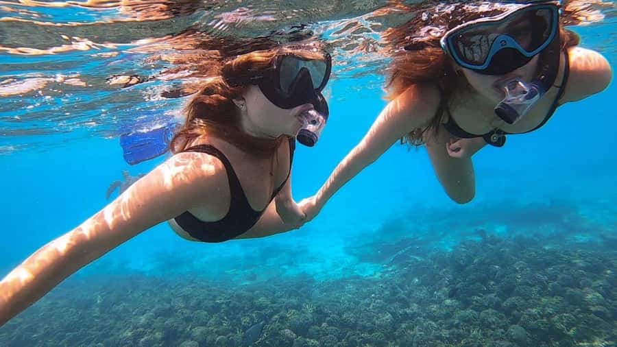 Muscat: Dolphin Watch & Snorkel Excursion - Safety, comfort, and the limits of the experience