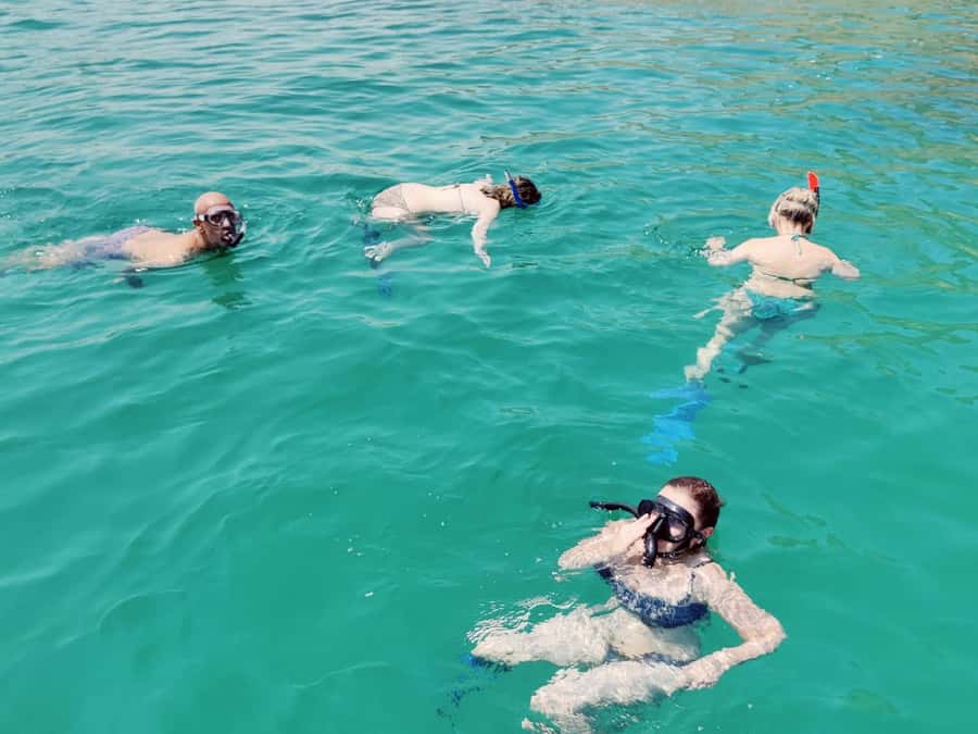 Muscat: Dolphin Watch & Snorkel Excursion - Is $52 a fair price in Muscat?