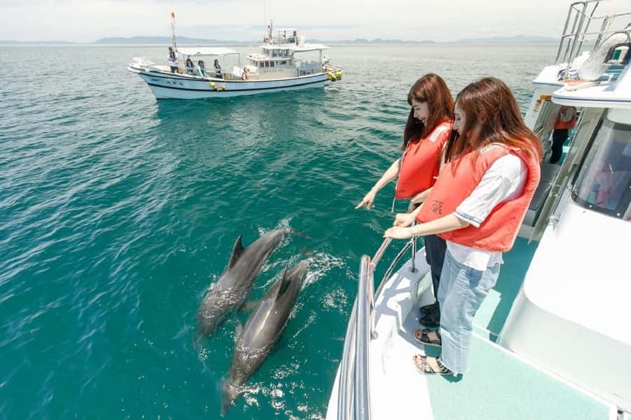 Muscat: Dolphin Watching and Snorkeling Tour - Snorkeling around Bandar Khiran Bay