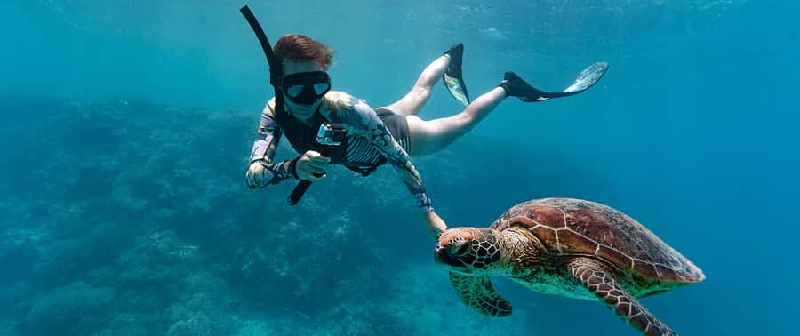 Muscat: Dolphin Watching and Snorkeling Tour - Boat comfort, group size, and guide service