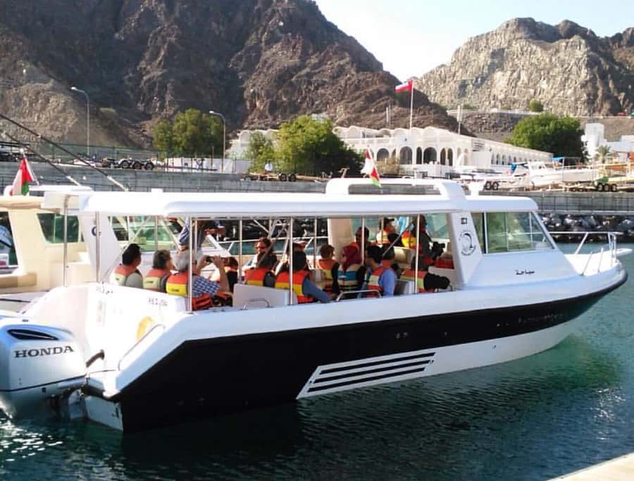 Muscat: Dolphin Watching and Snorkeling Tour - Is $90 a good value?