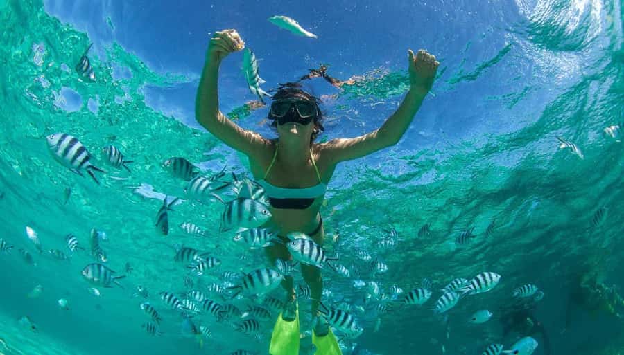 Muscat: Dolphin Watching and Snorkeling Tour - Should you book this dolphin and snorkeling tour?