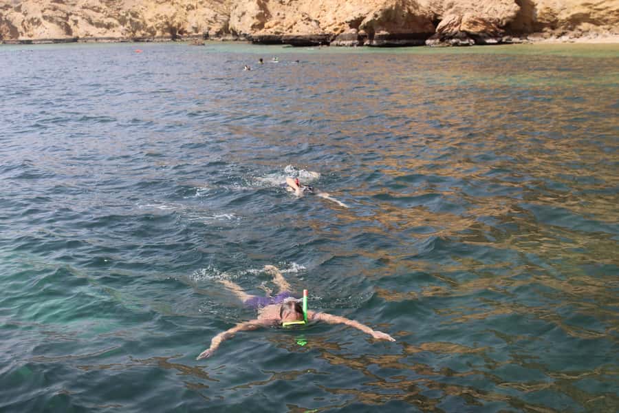 Muscat: Dolphin Watching and Snorkeling Tour By Speed Boat - Key points before you book