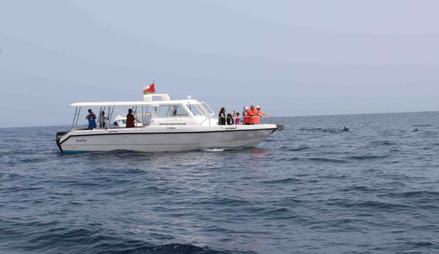 Muscat: Dolphin Watching and Snorkeling Tour By Speed Boat - Choosing between Bandar Khiran and Muscat Bay