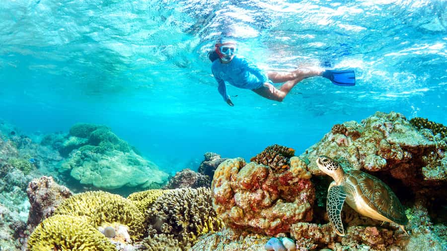 Muscat: Dolphin Watching and Snorkeling Tour - Setting out to find Muscat’s dolphins