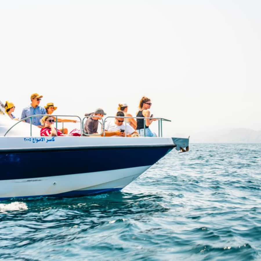 Muscat: Dolphin Watching and Snorkeling Trip - The practical rhythm of the outing