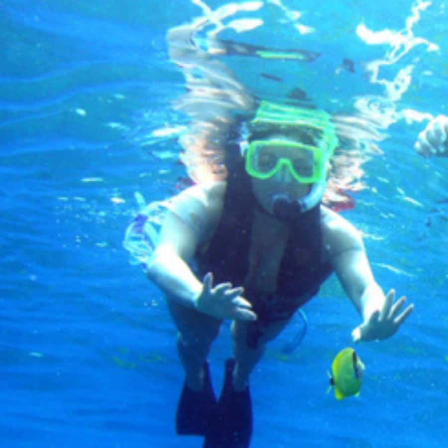Muscat: Dolphin Watching and Snorkeling Trip - Small details that make the day easier