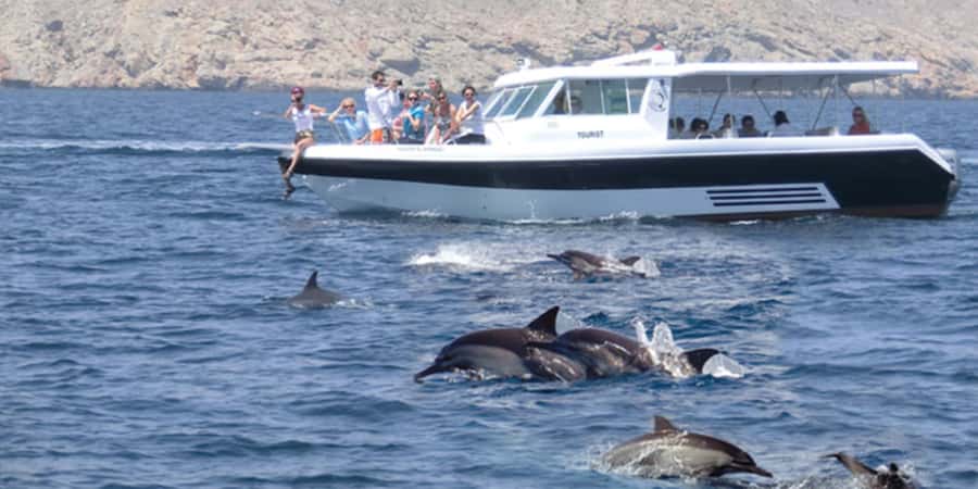 Muscat: Dolphin Watching Boat Tour - The tour in five useful points