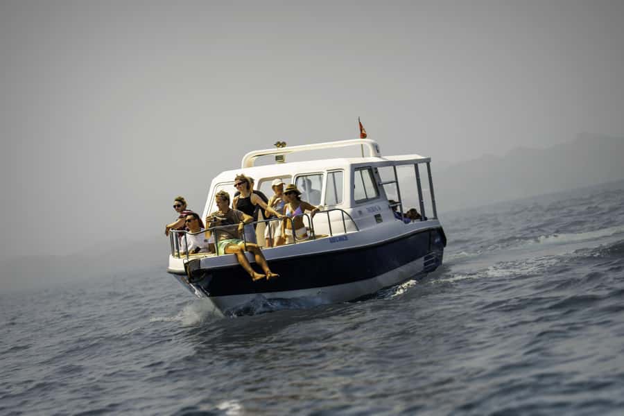 Muscat: Dolphin Watching Boat Trip with Snacks & Local Guide - Key points at a glance